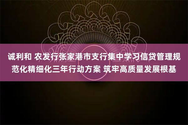 诚利和 农发行张家港市支行集中学习信贷管理规范化精细化三年行动方案 筑牢高质量发展根基