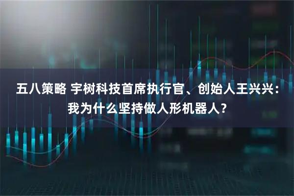 五八策略 宇树科技首席执行官、创始人王兴兴：我为什么坚持做人形机器人？