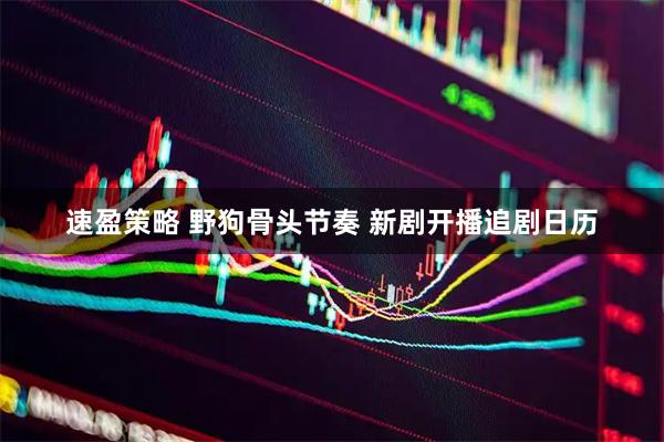 速盈策略 野狗骨头节奏 新剧开播追剧日历